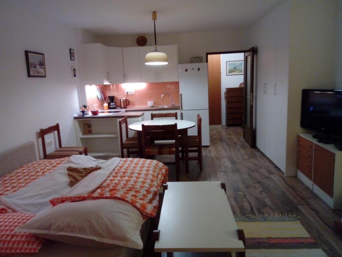 Apartman Veriga 克拉尼斯卡戈拉 外观 照片